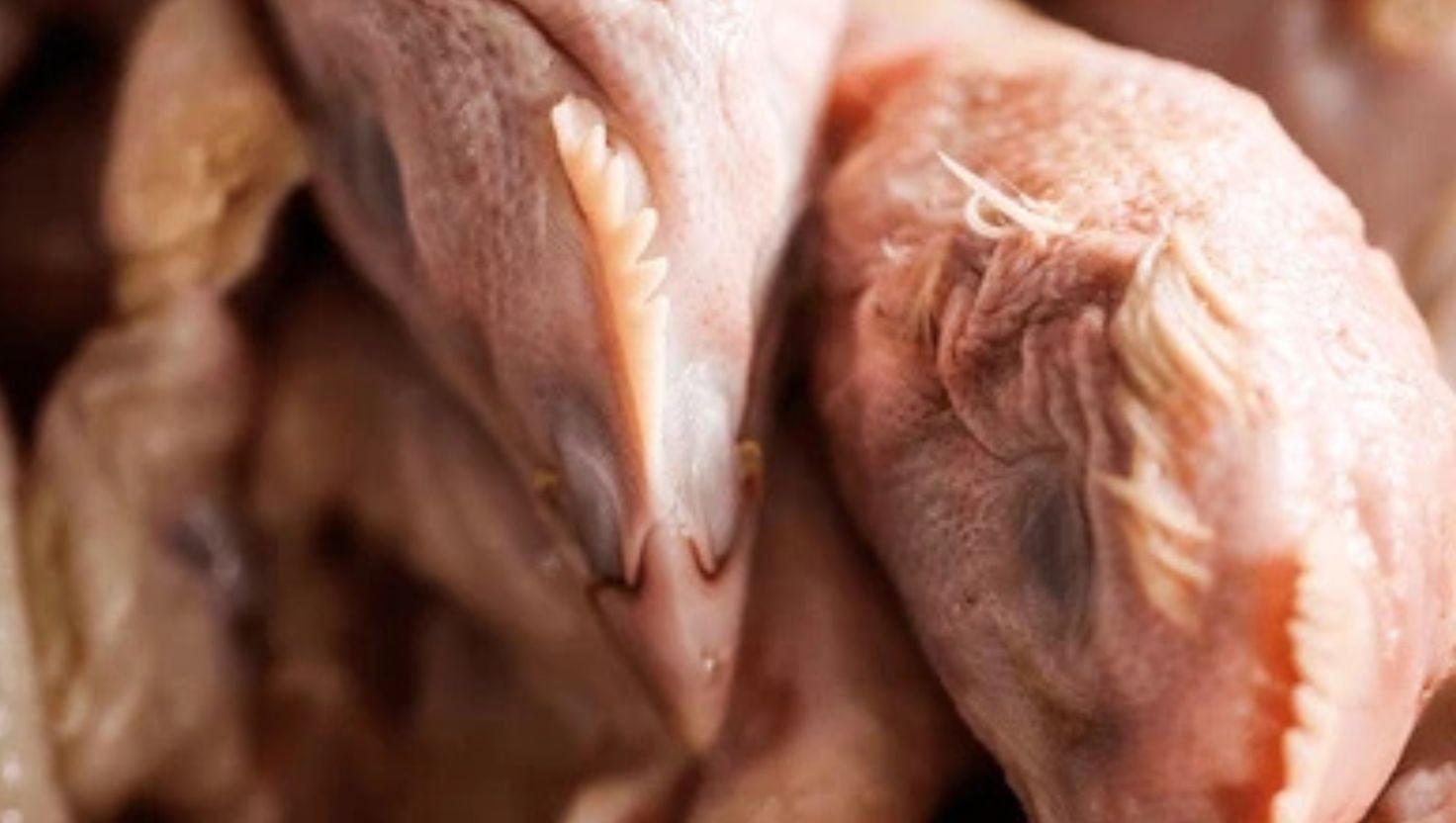 ¿Nuevo cártel del pollo? 5 avícolas habrían concertado precios por WhatsApp tras concentrar el 80% del mercado del norte de Perú