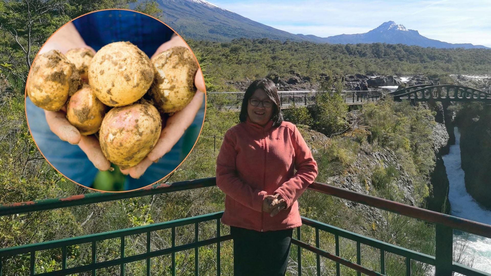 ¿Quién es Gabriela Burgos, la científica peruana que ganó un premio mundial por el desarrollo de papas y camotes?