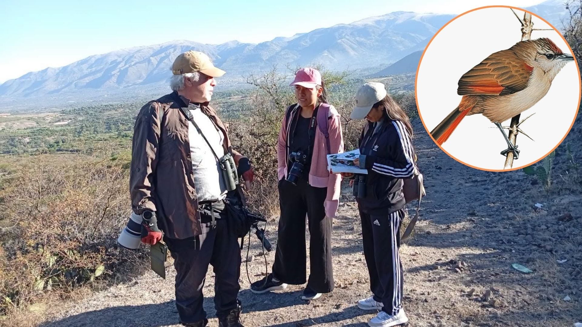 Investigadores identifican una posible nueva especie de ave en un bosque andino del Perú